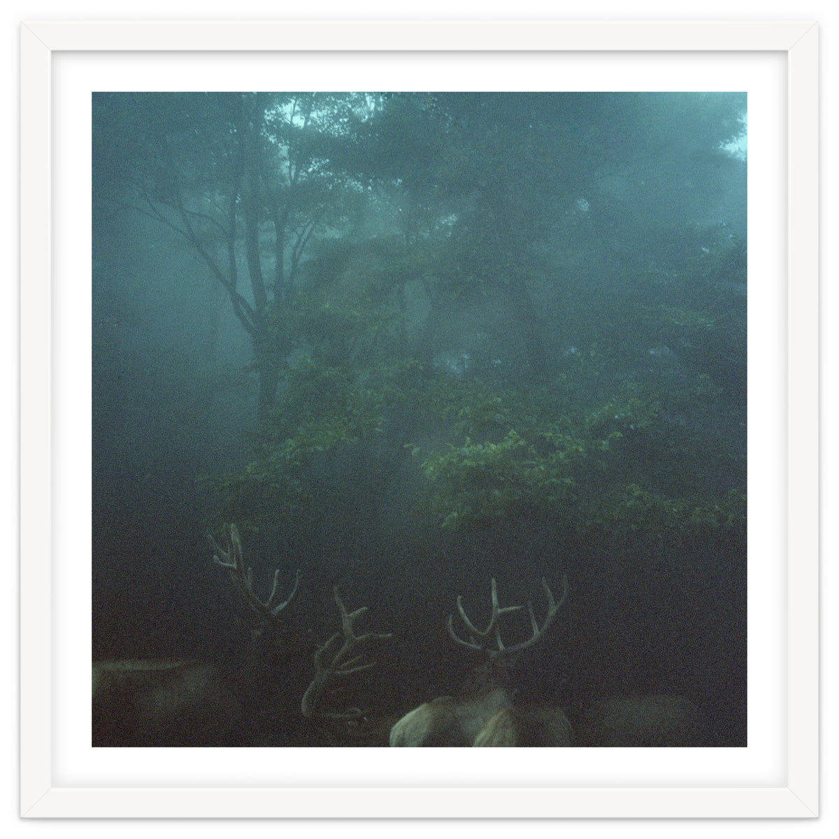 Silence of breath - 12