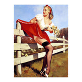 Pinup Girl Stacked On The Farm Fance (Print Only) thumbnail