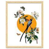collage floral birds thumbnail