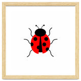 Lady Bug thumbnail