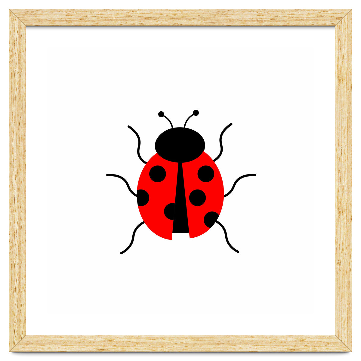 Lady Bug