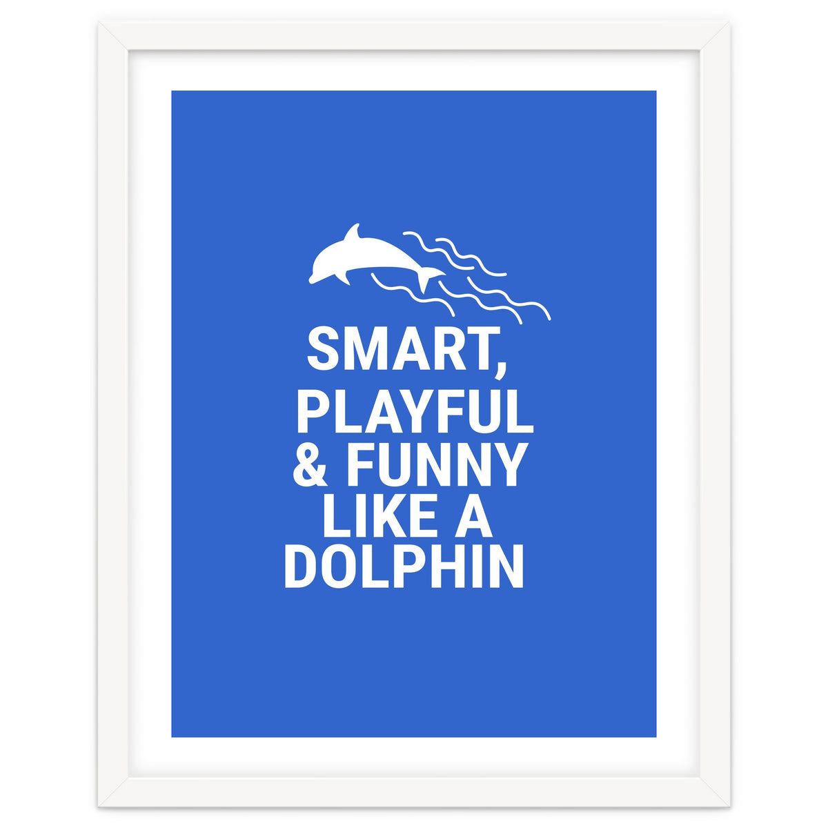 Smart, playful and funny like a dolphin