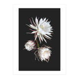 Queen Of The Night (Print Only) thumbnail
