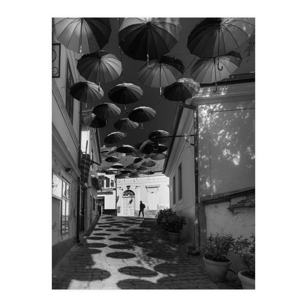 Under umbrellas (Print Only)