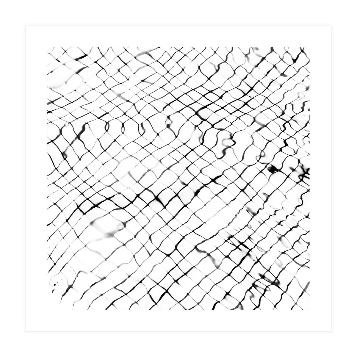 Reflection (Print Only)