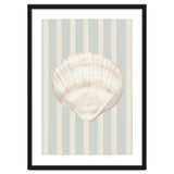 Sea shell thumbnail