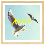 Never Settle thumbnail