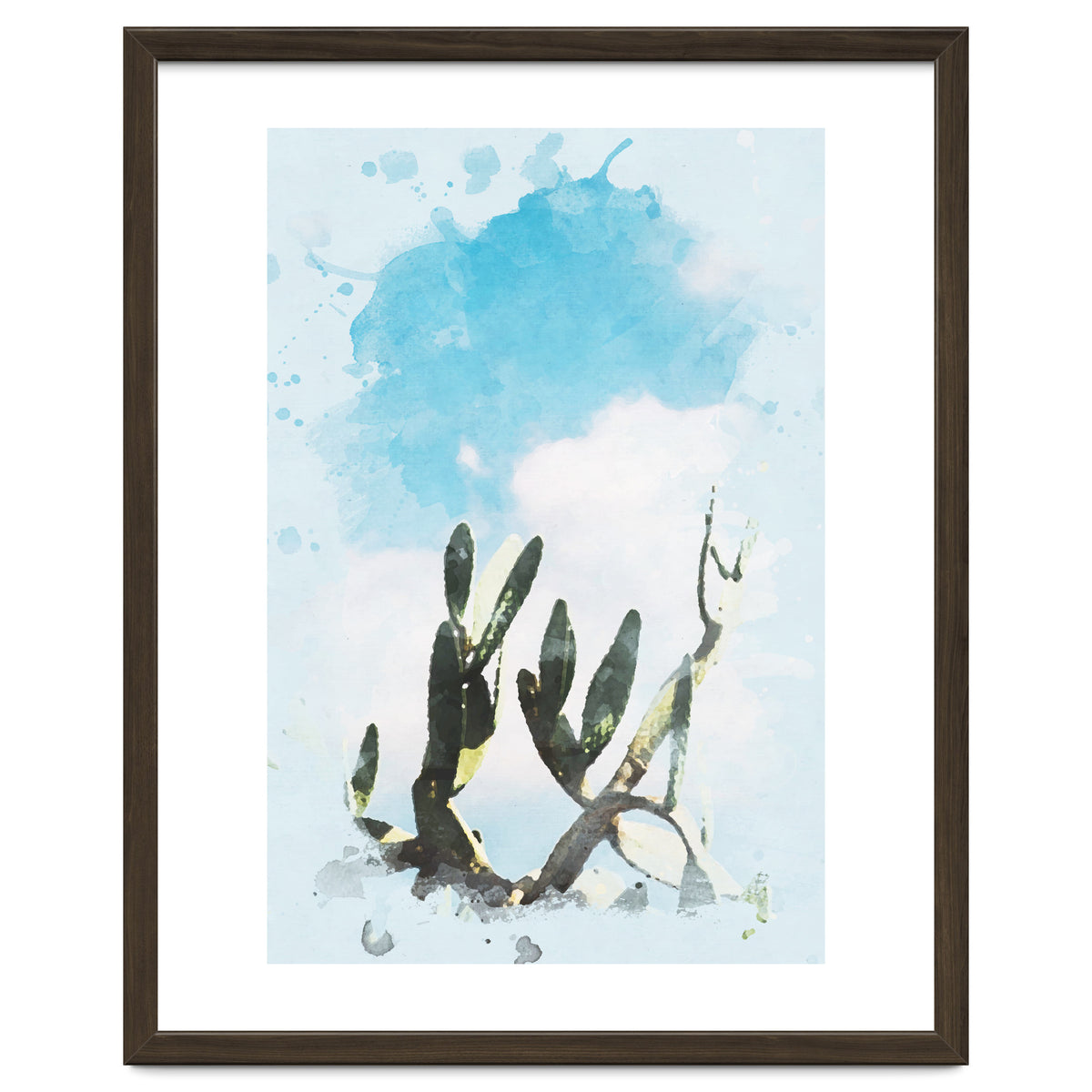 Cactus & Sky