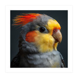 Cockatiel Parrot Closeup Vibrant Feather  (Print Only) thumbnail