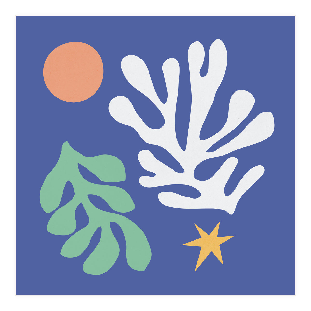 Floral matisse 2 (Print Only)