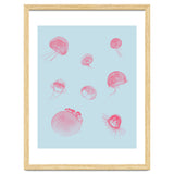 Jellyfish thumbnail