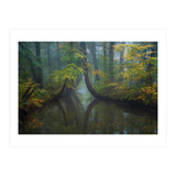 The bent trees (Print Only) thumbnail