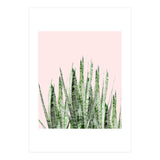 Botanical Balance (Print Only) thumbnail