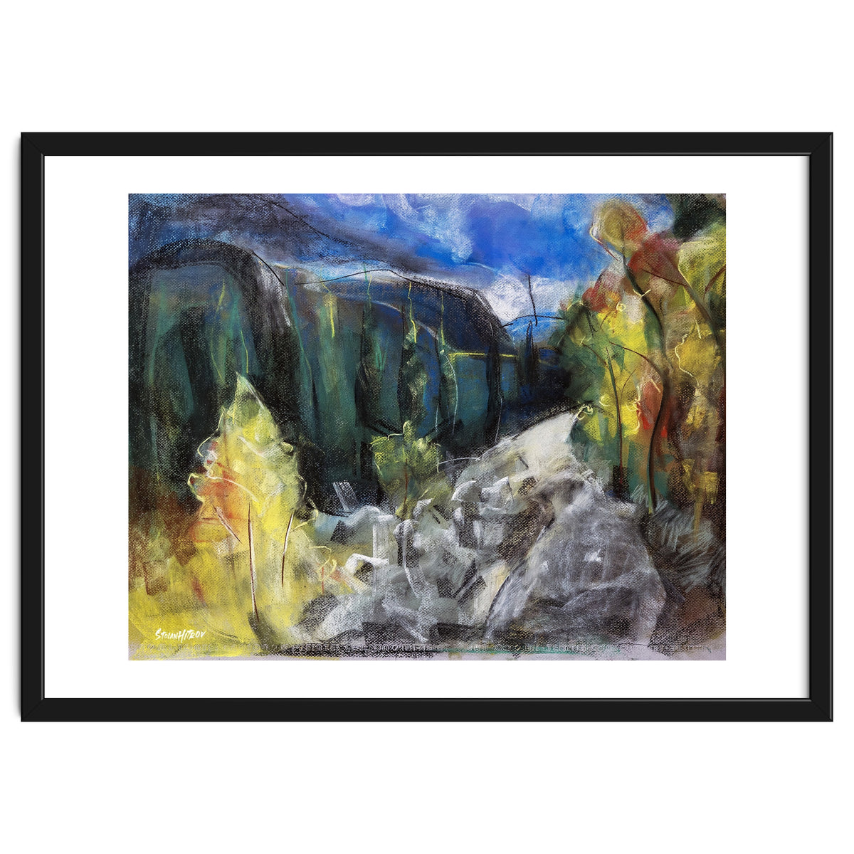 The Forest of Rila Mountain