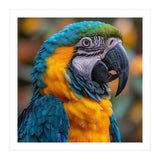 Blue And Yellow Macaw Parrot Close Up Portrait (Print Only) thumbnail