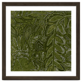 Forest Dense Foliage thumbnail
