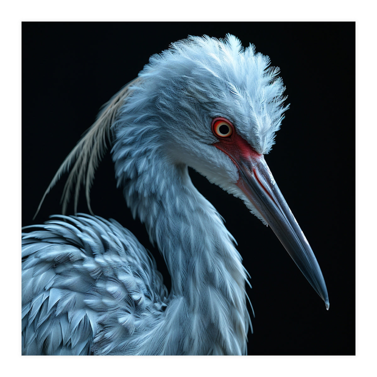 Striking Portrait Of A Blue Heron Bird (Print Only)