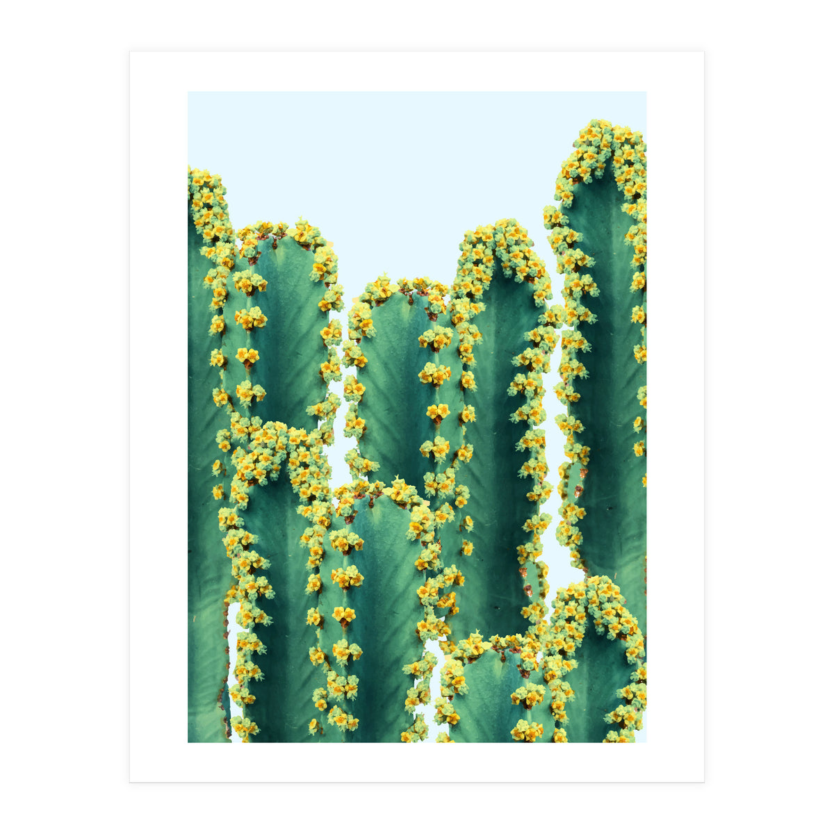 Adorned Cactus #society6 #artprints #buyart (Print Only)
