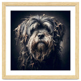 Old Dog 03 thumbnail