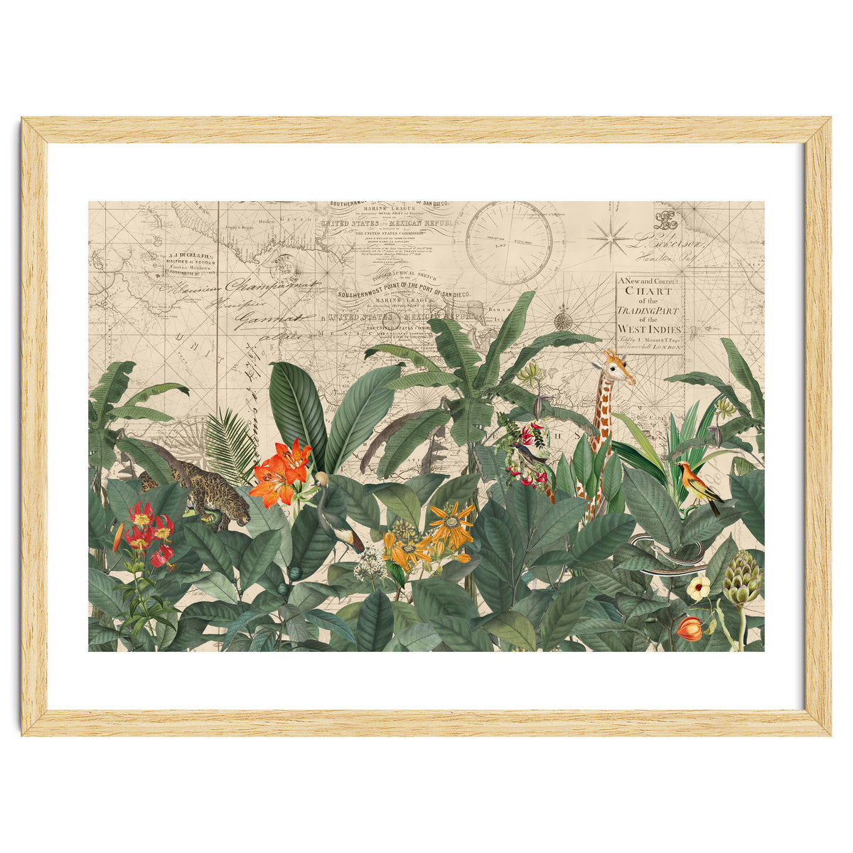 Explore The New World Wild Animals