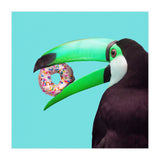 Sweet Toucan (Print Only) thumbnail