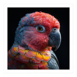 Close Up Parrot Face Red Blue Yellow Plumage (Print Only) thumbnail