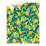 Summer Strelitzia (Print Only) thumbnail