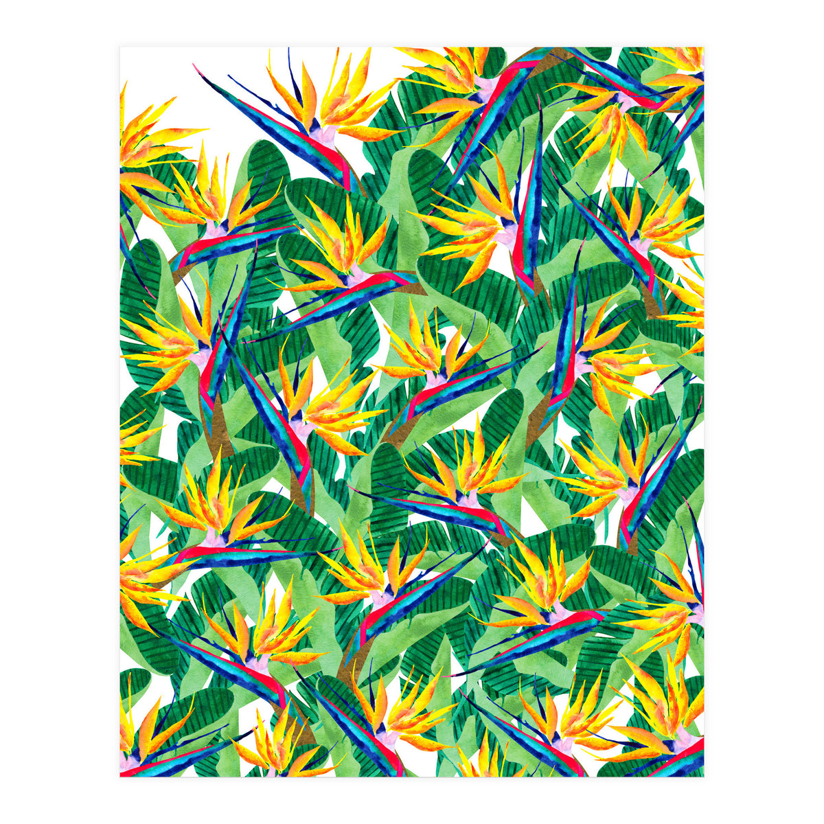 Summer Strelitzia (Print Only)