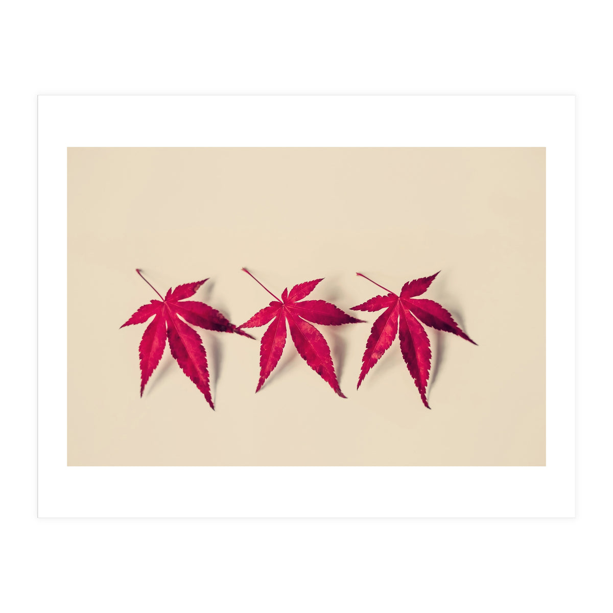 Dancing Leaves (Print Only)
