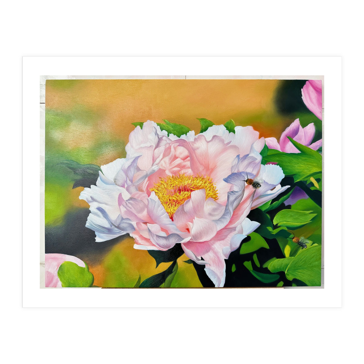 peony (Print Only)