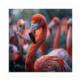 Beautiful Close Up Of A Pink Flamingo Bird (Print Only) thumbnail
