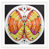 Clock butterfly thumbnail