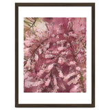 Pink Blossom thumbnail