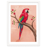 Red Macaw Parrot Bird Forest thumbnail