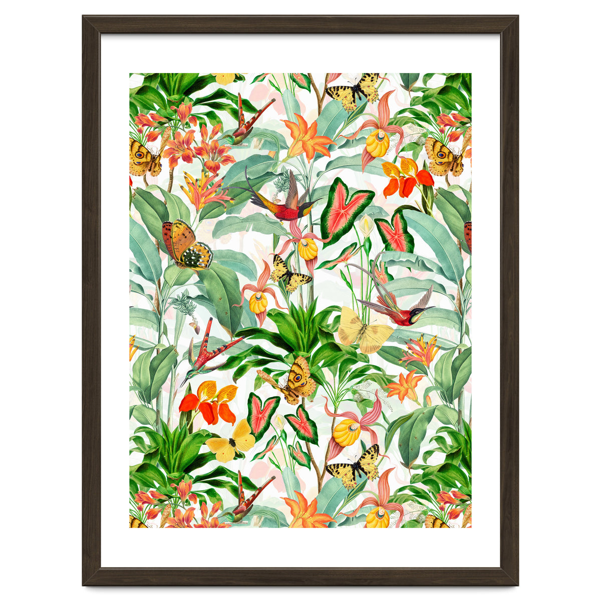 Birds And Butterflies In Tropical Jungle