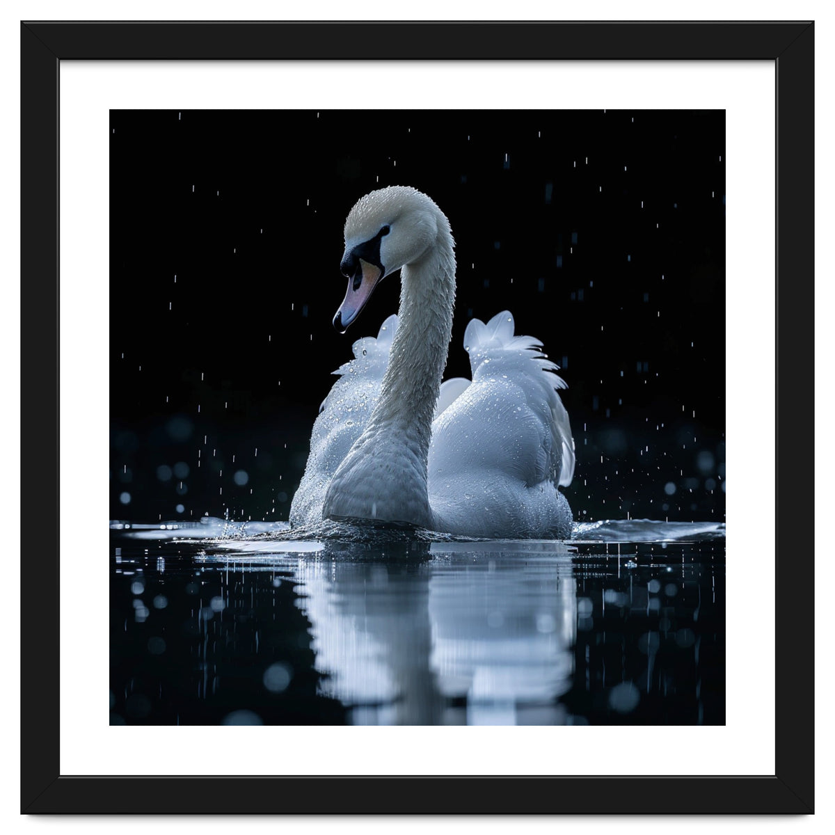 Majestic Swan Swimming In Dark Water