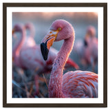 Close Up Of A Pink Flamingo Bird In Natural Light thumbnail