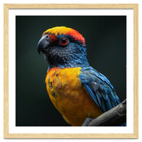Close Up Colorful Parrot Perched On A Branch