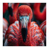 Close Up Flamingo Head With Bright Red Feathers (Print Only) thumbnail