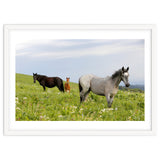 Equine Family thumbnail