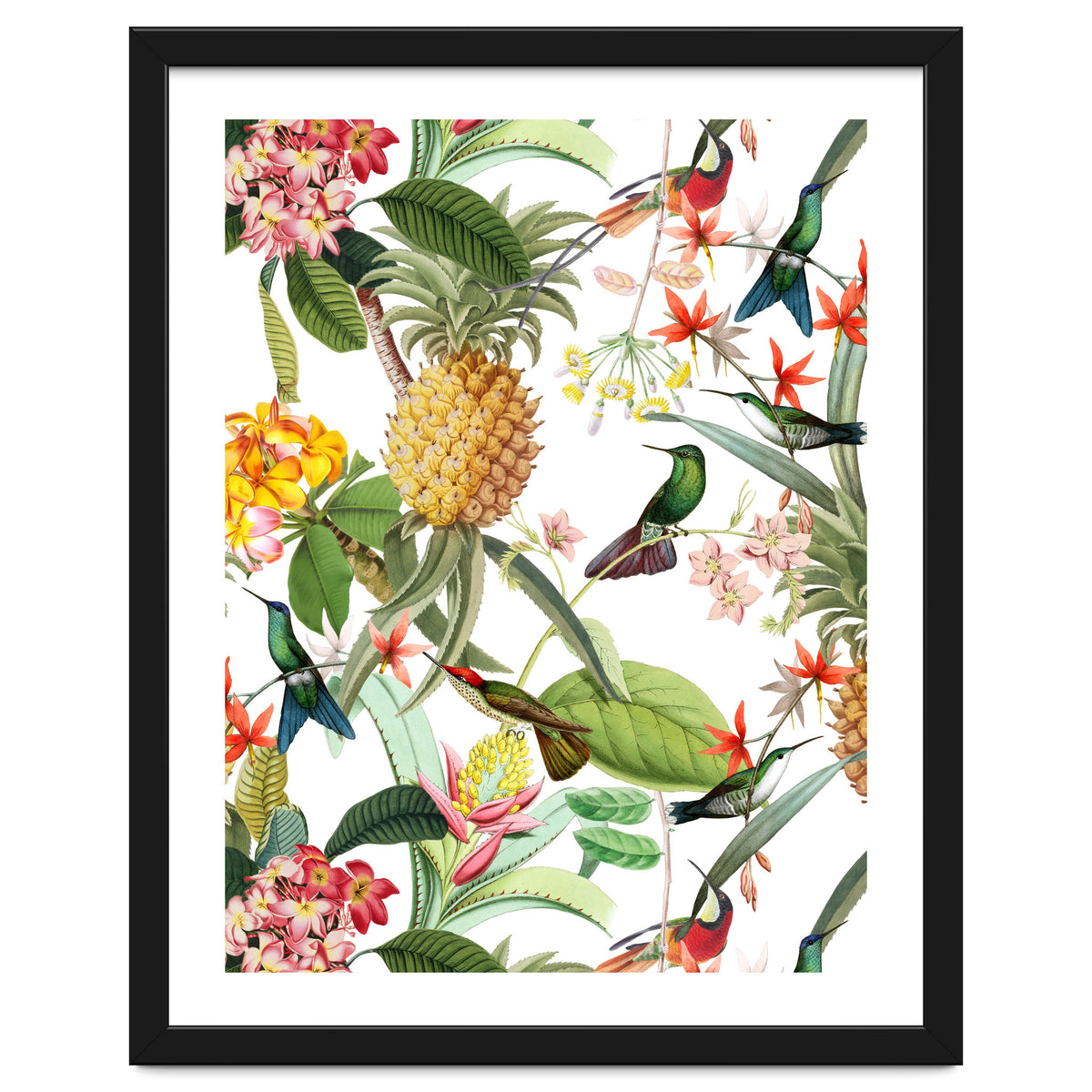 Hummingbirds in tropical Jungle