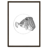 The Fascinating Cuttlefish thumbnail