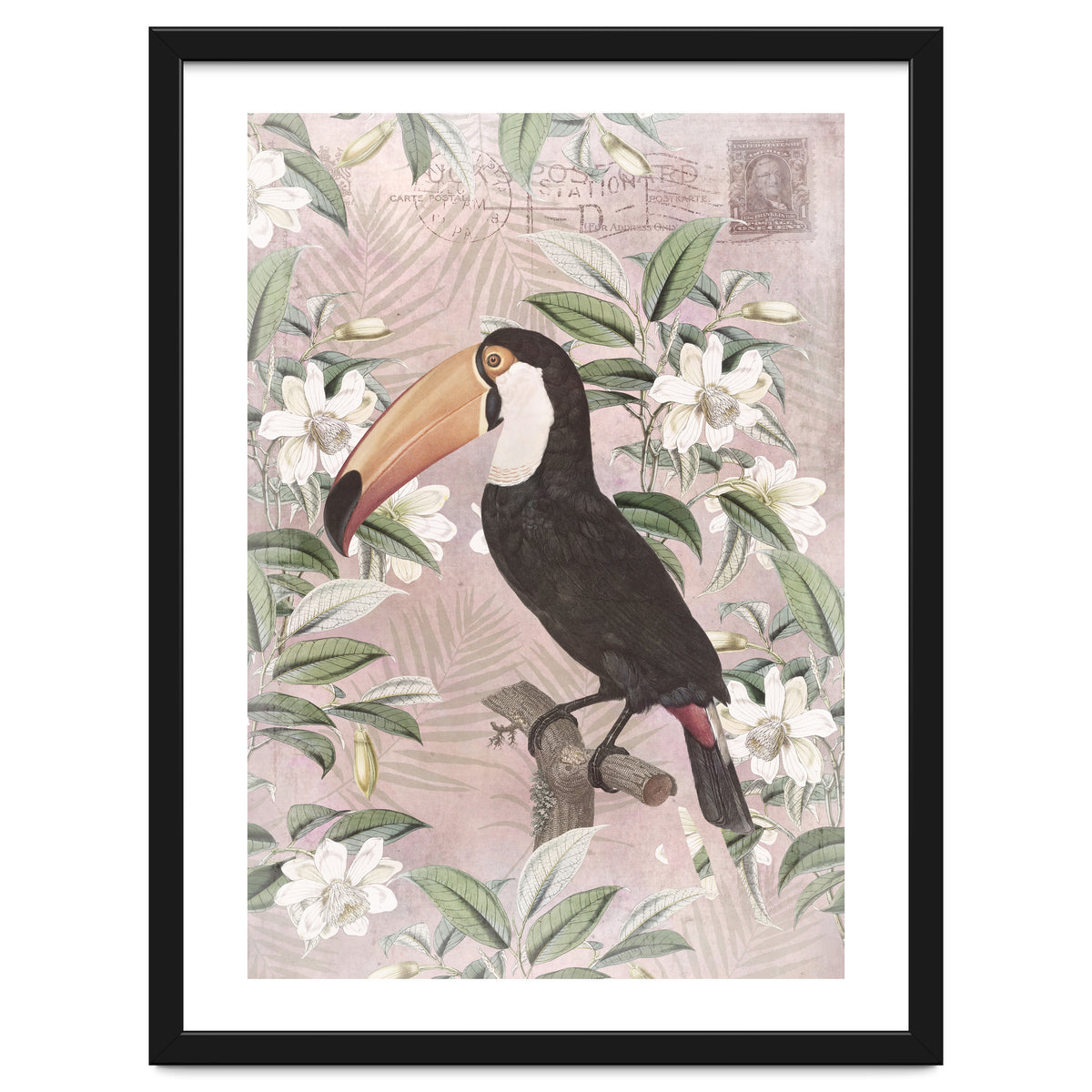 Exotic Bird Toucan