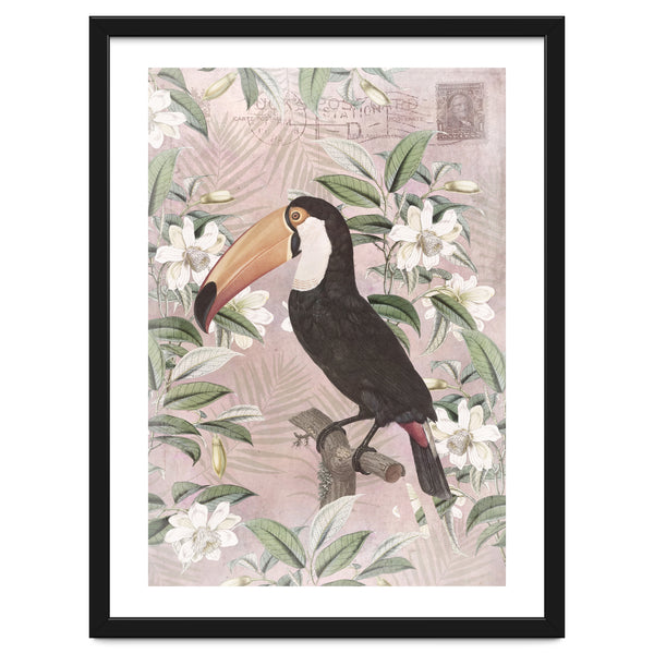 Exotic Bird Toucan