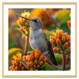 Hummingbird Perched On Orange Flowers thumbnail