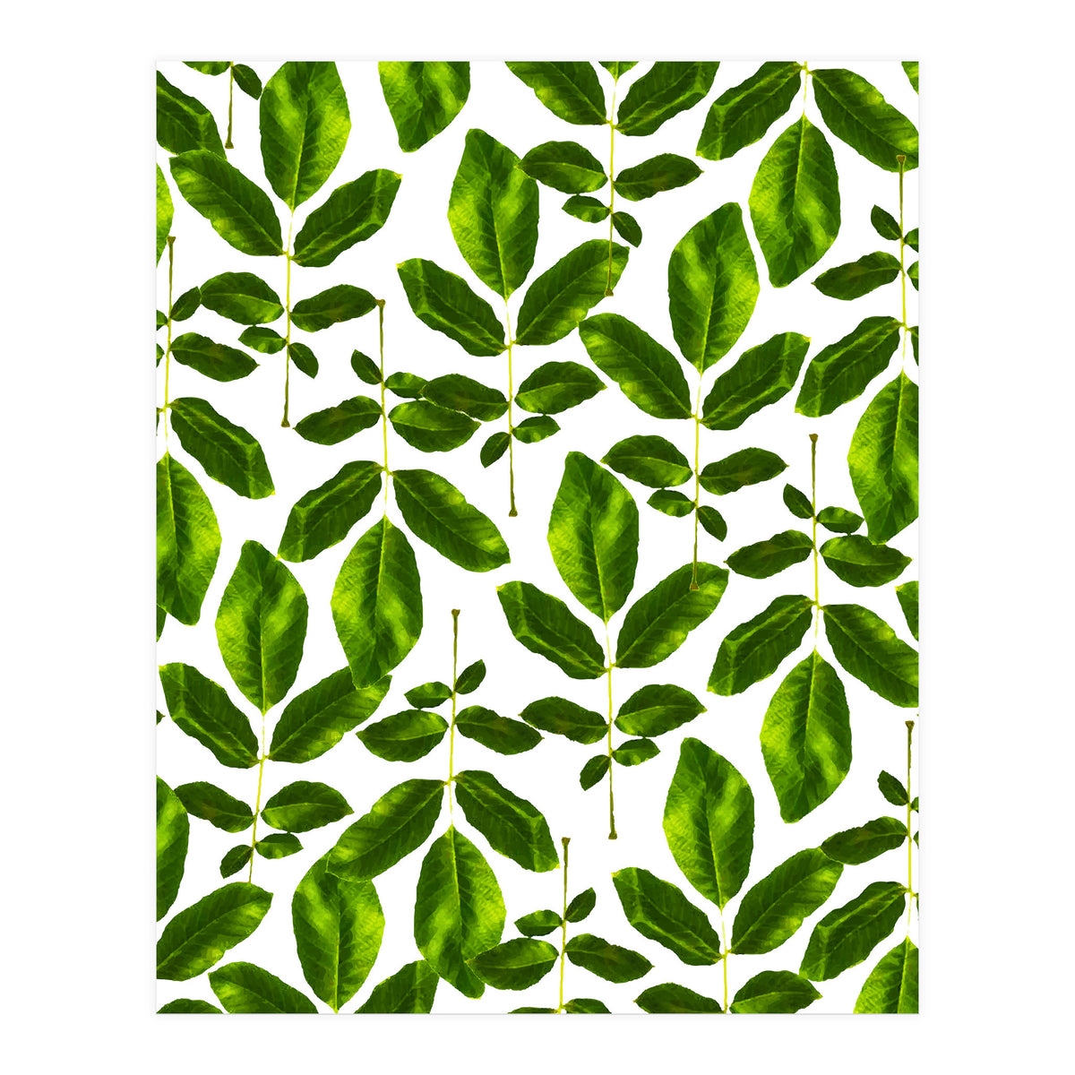 Natural Cure #society6 #decor #buyart (Print Only)