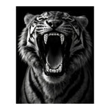 Roaring Tiger portrait  (Print Only) thumbnail