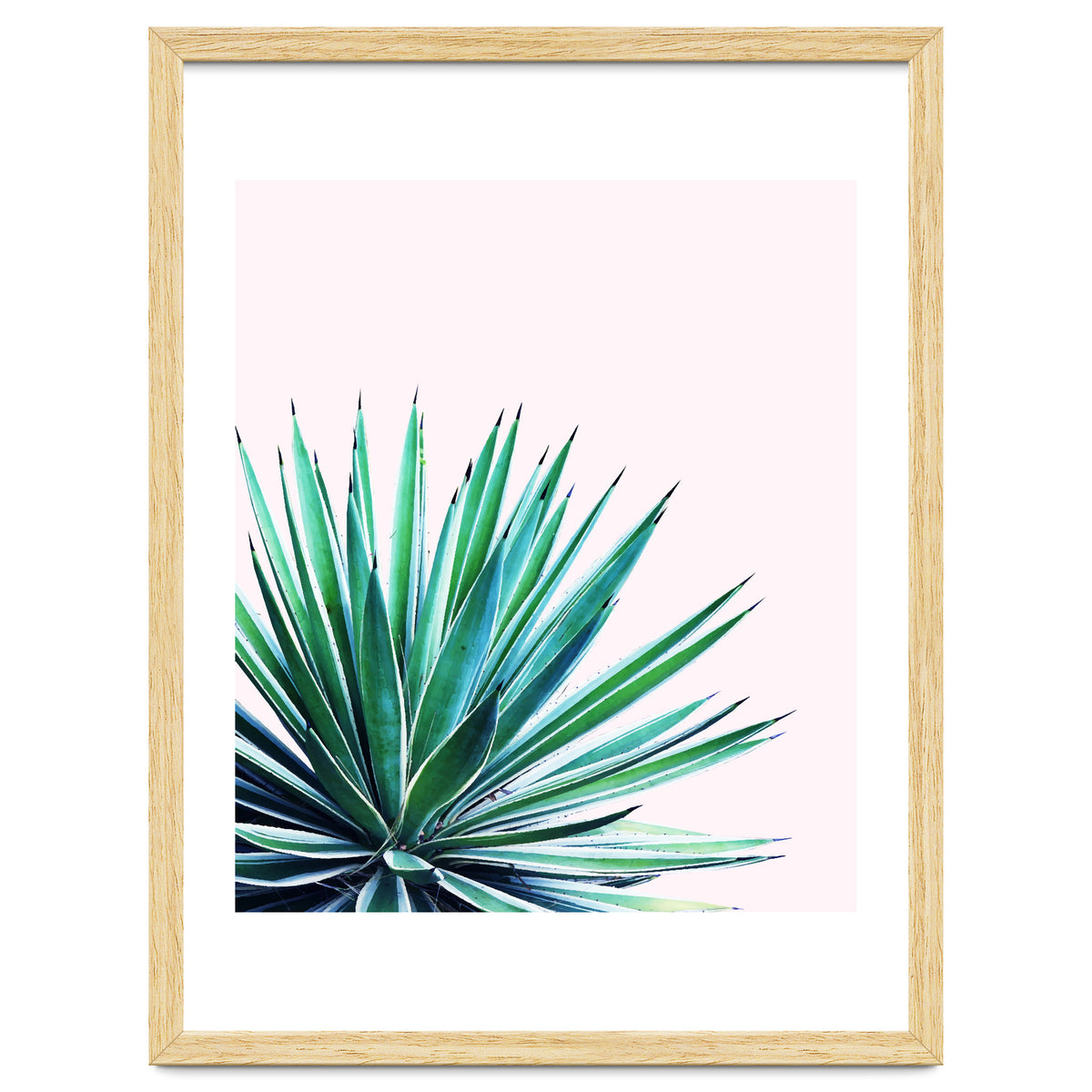 Agave Love #society6 #decor #buyart
