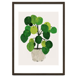Pilea Plant thumbnail