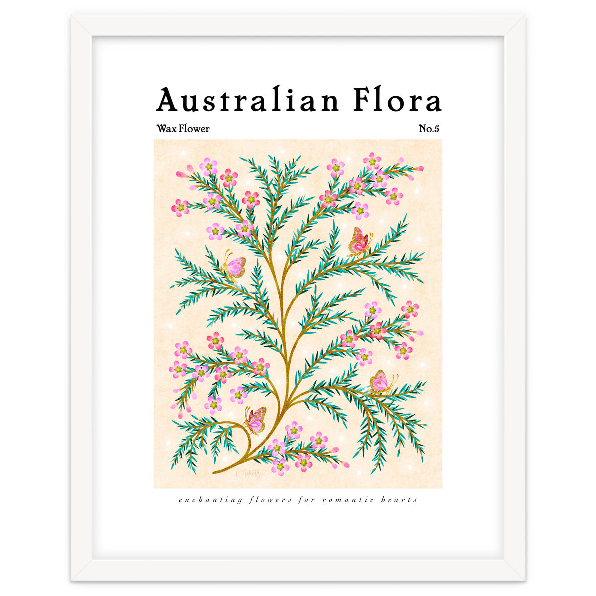 Australian Flora: Wax Flower